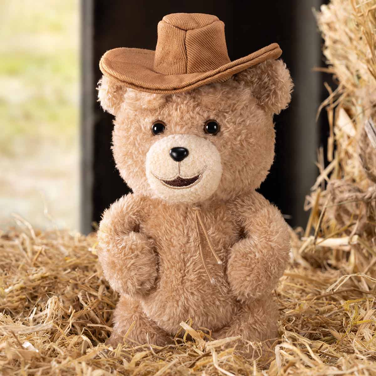 Ted2 "Teddy Bear Action"