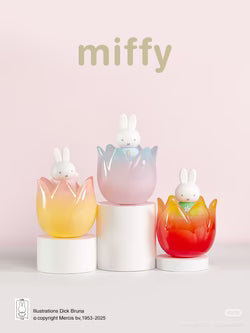 Miffy Tulip