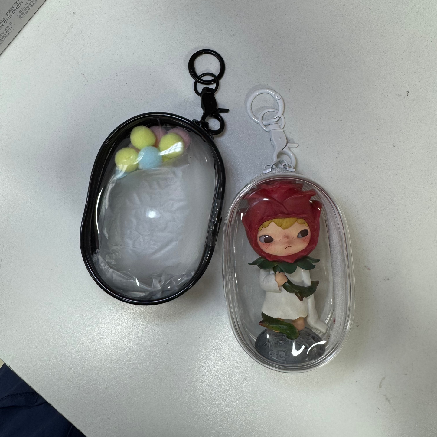 Case Transparente