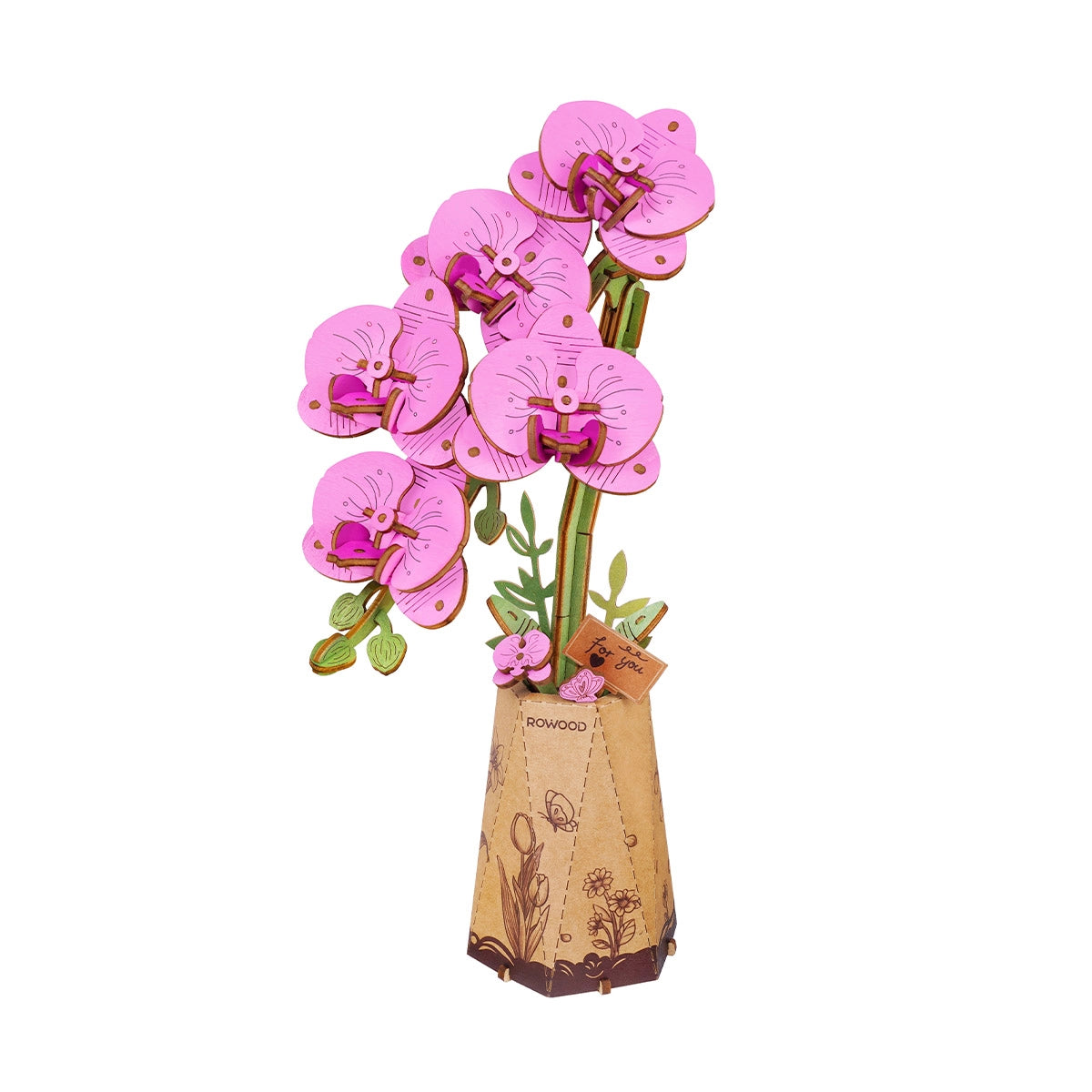 Rowood "Flower Purple Moth Orchid"-2